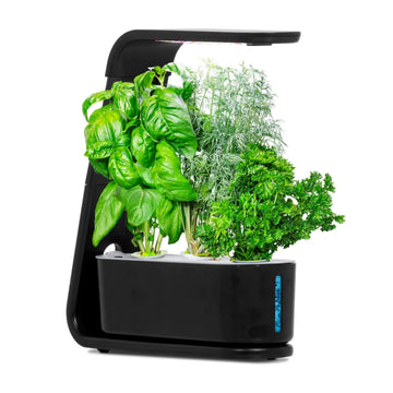 Hydroponics Plant Growing System